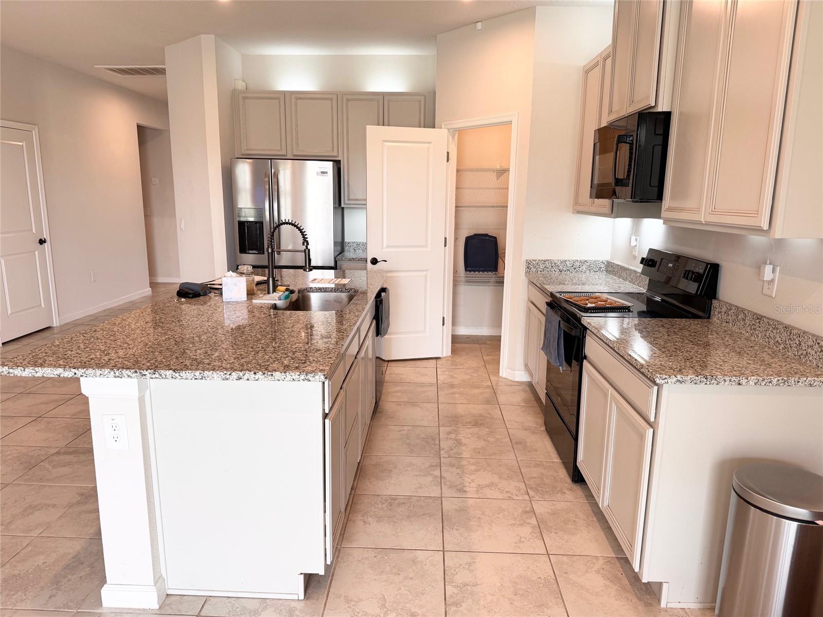 18217 FALLING PINE NEEDLE LN, LAND O LAKES, FL, 34638