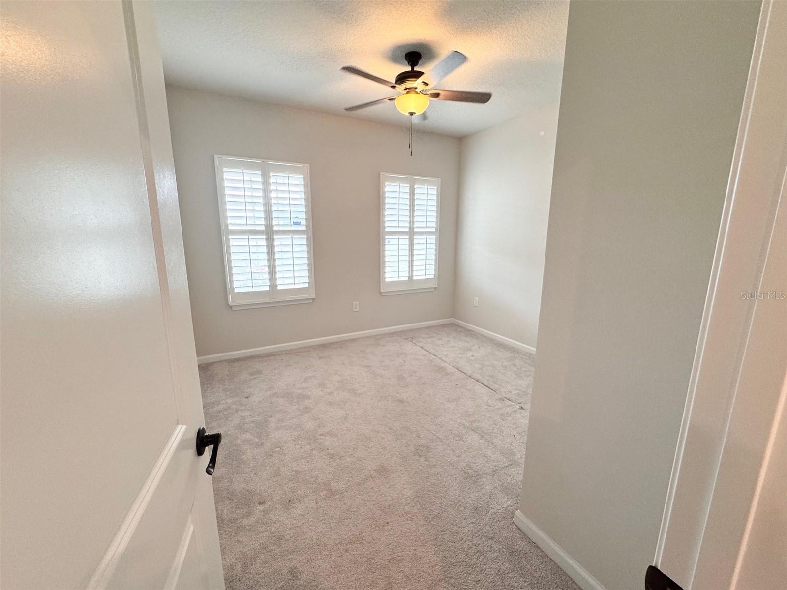 18217 FALLING PINE NEEDLE LN, LAND O LAKES, FL, 34638