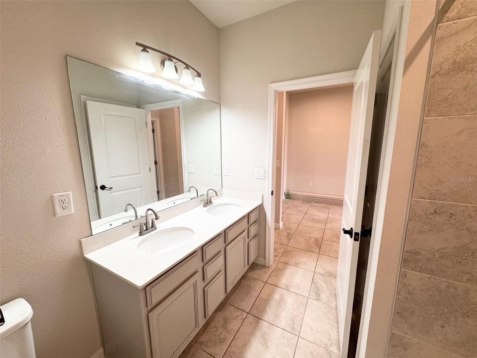 18217 FALLING PINE NEEDLE LN, LAND O LAKES, FL, 34638