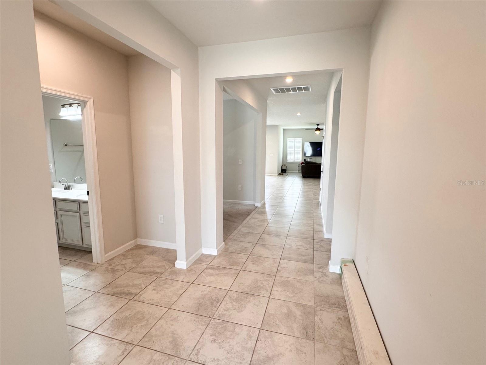 18217 FALLING PINE NEEDLE LN, LAND O LAKES, FL, 34638