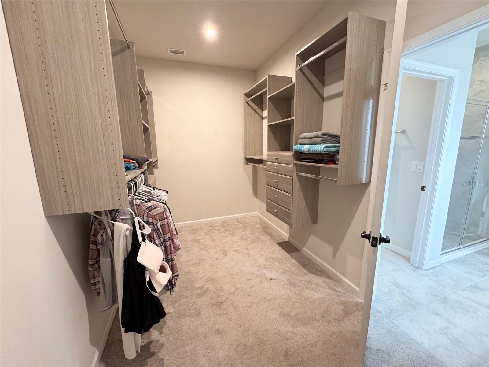 18217 FALLING PINE NEEDLE LN, LAND O LAKES, FL, 34638
