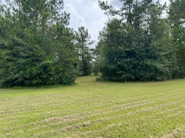 12482 161ST RD, LIVE OAK, FL, 32060