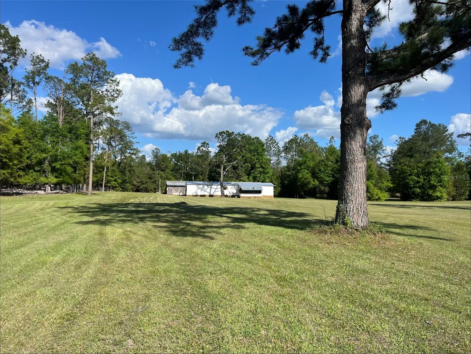 12482 161ST RD, LIVE OAK, FL, 32060