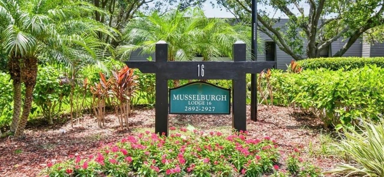 36750 US HIGHWAY 19 N #16-105, PALM HARBOR, FL, 34683