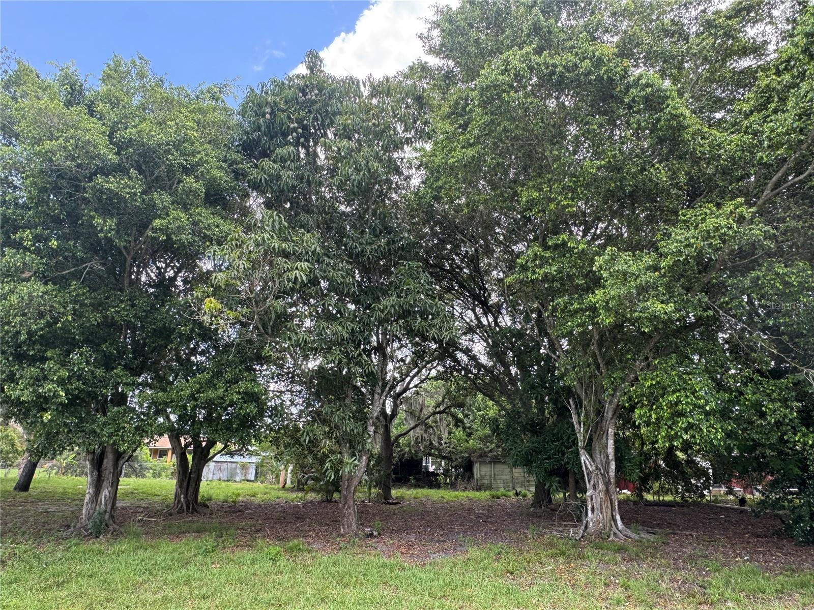 WASHINGTON AVE, IMMOKALEE, FL, 34142