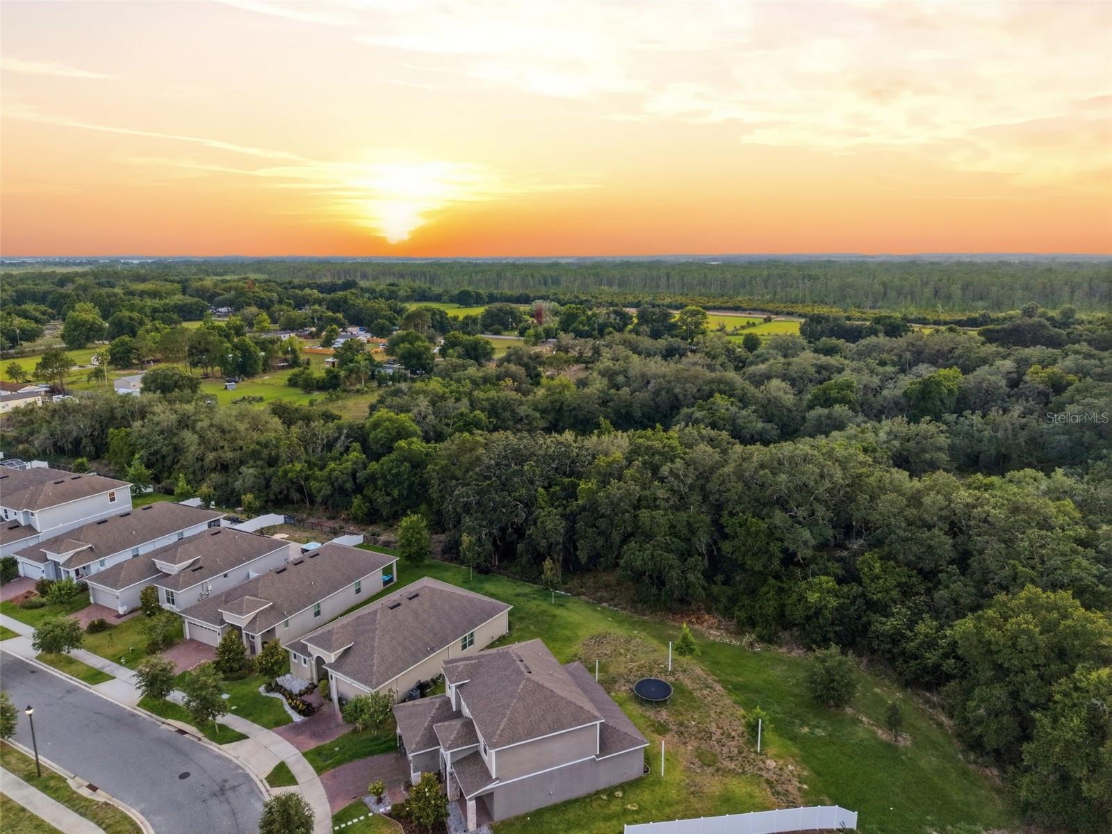 1097 HENDON LOOP, DAVENPORT, FL, 33837