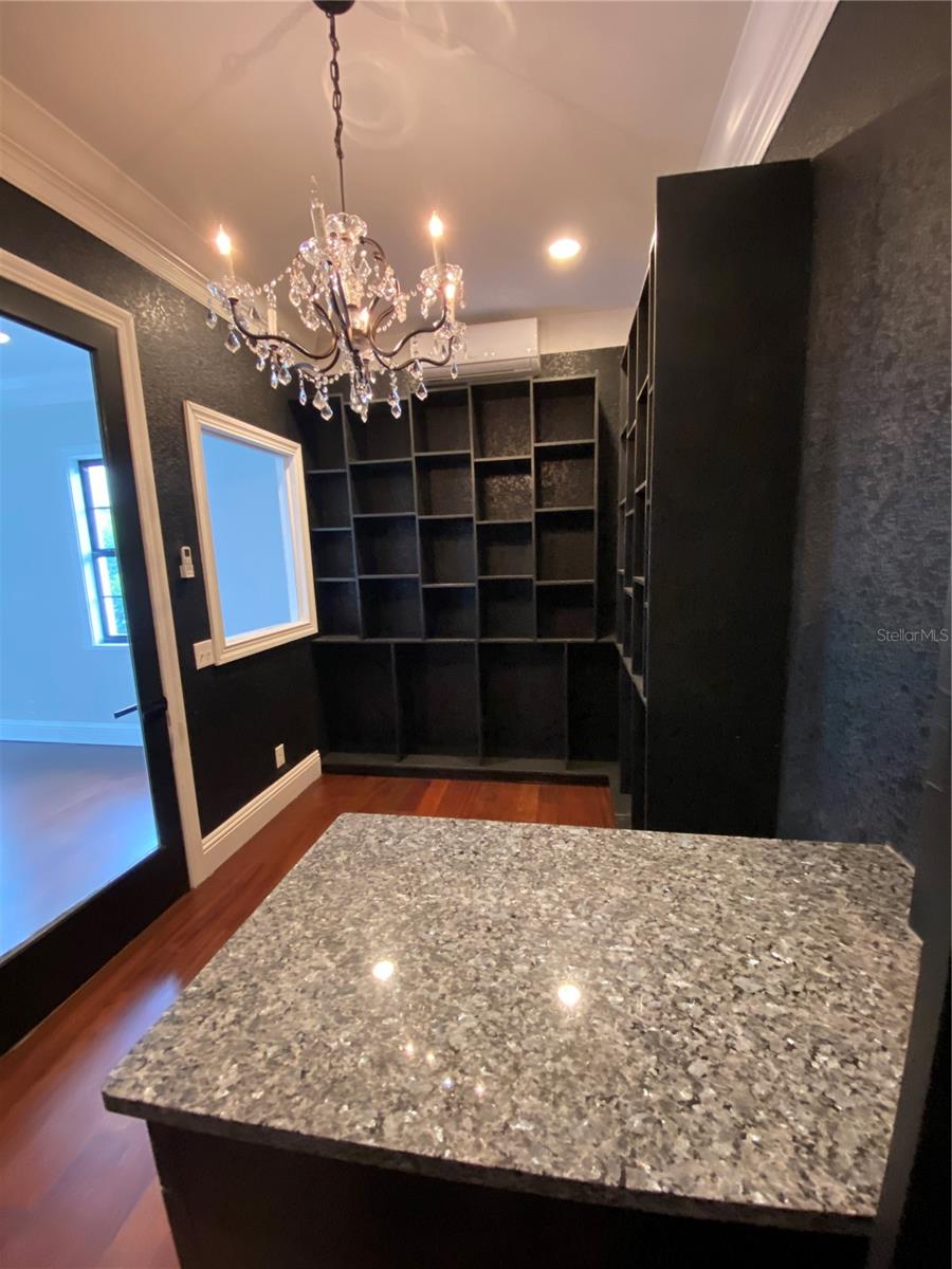 420 S ROYAL POINCIANA DR, TAMPA, FL, 33609