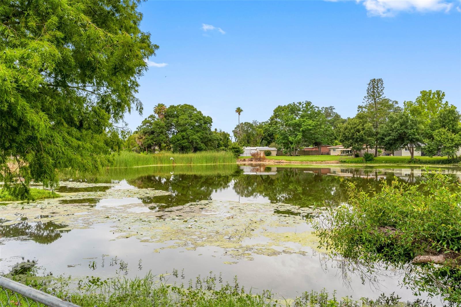 126 W GRAPEFRUIT CIR, CLEARWATER, FL, 33759