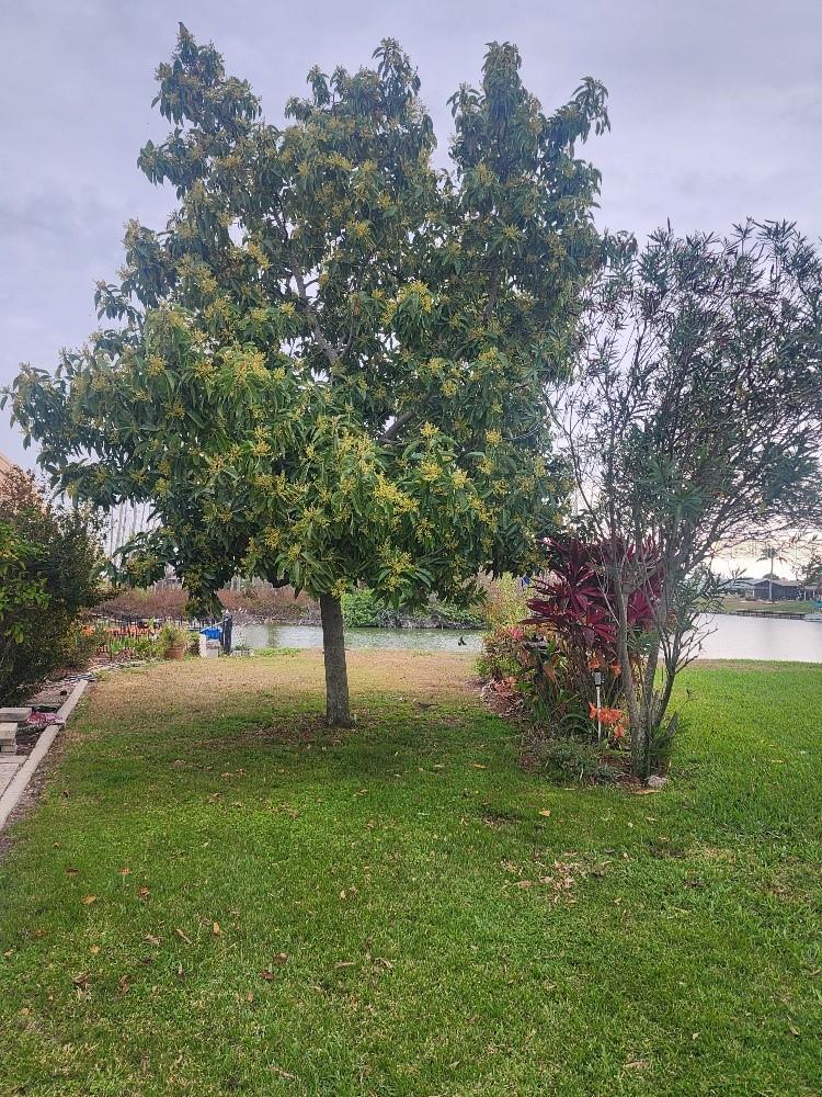 1411 JACOBSON CIR, SUN CITY CENTER, FL, 33573