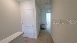 1215 DRAINTREE ST, DAVENPORT, FL, 33837