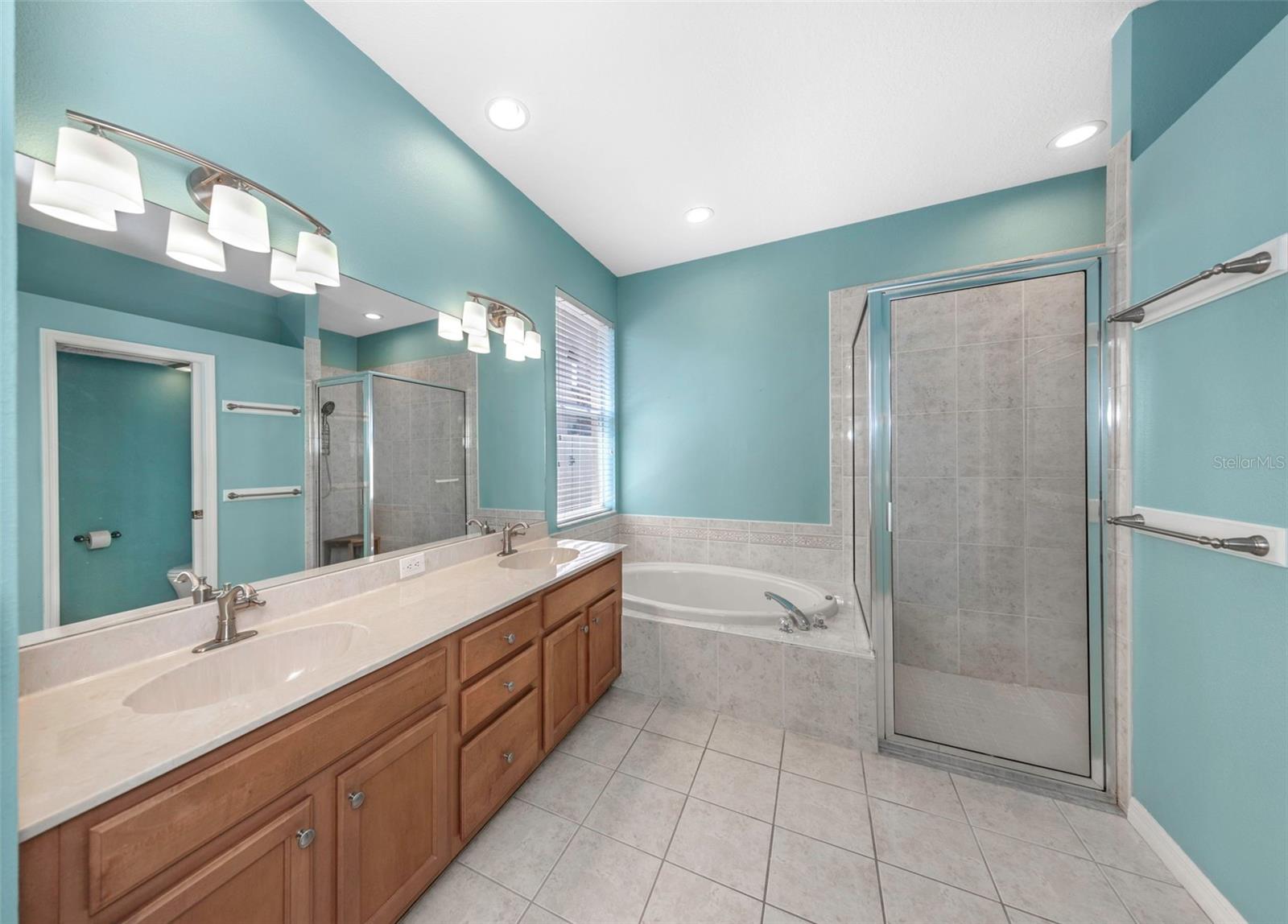 11243 BLACKSMITH DR, TAMPA, FL, 33626