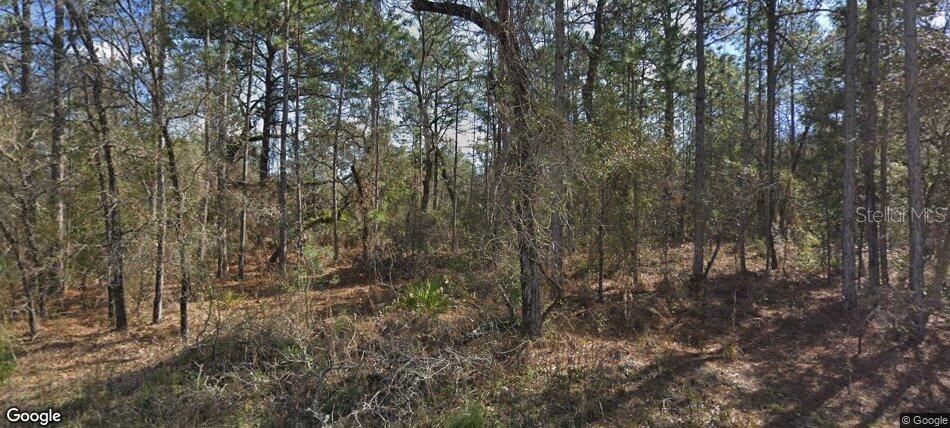 14390 ENGLISH SPARROW RD, WEEKI WACHEE, FL, 34614