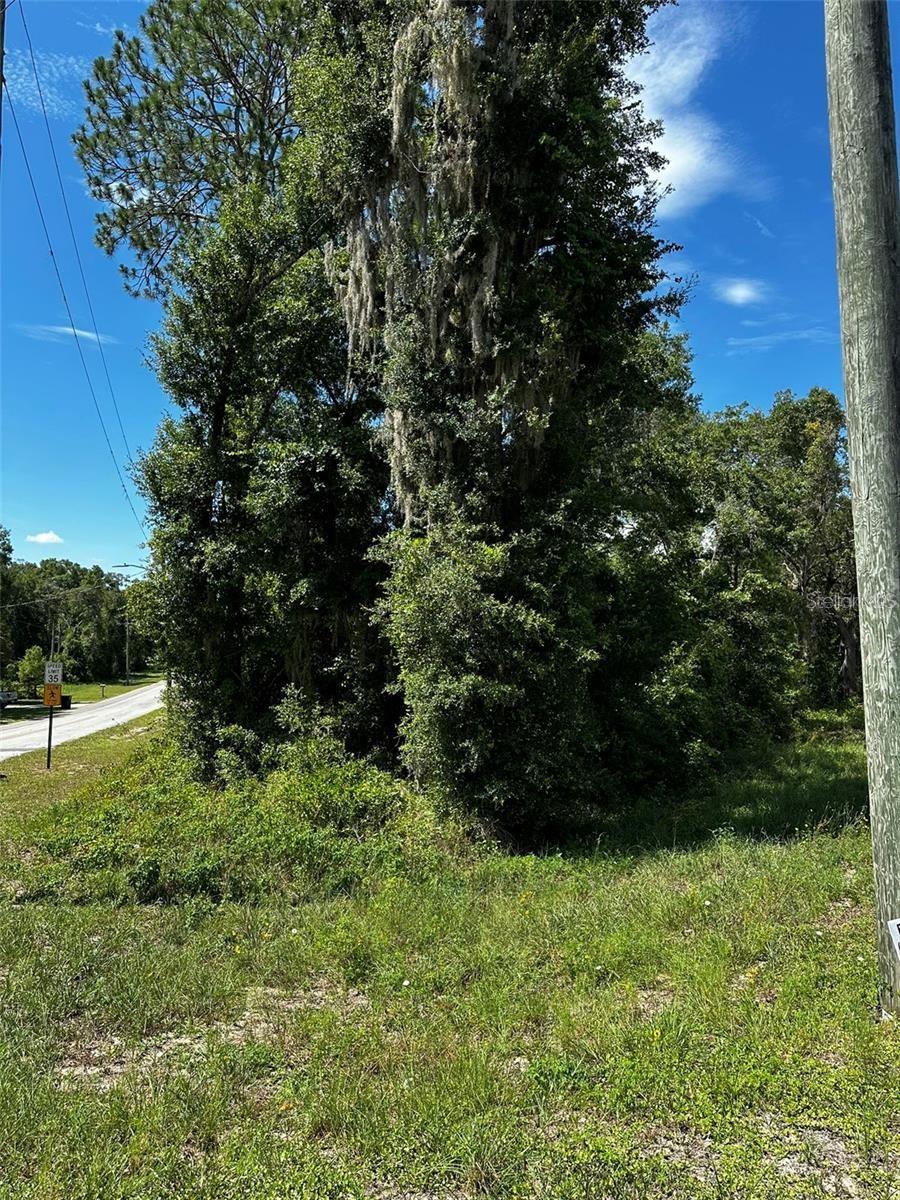 THRASHER DR, BRONSON, FL, 32621