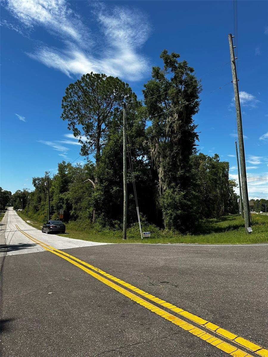 THRASHER DR, BRONSON, FL, 32621