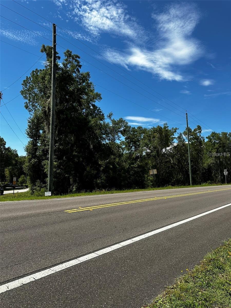 THRASHER DR, BRONSON, FL, 32621