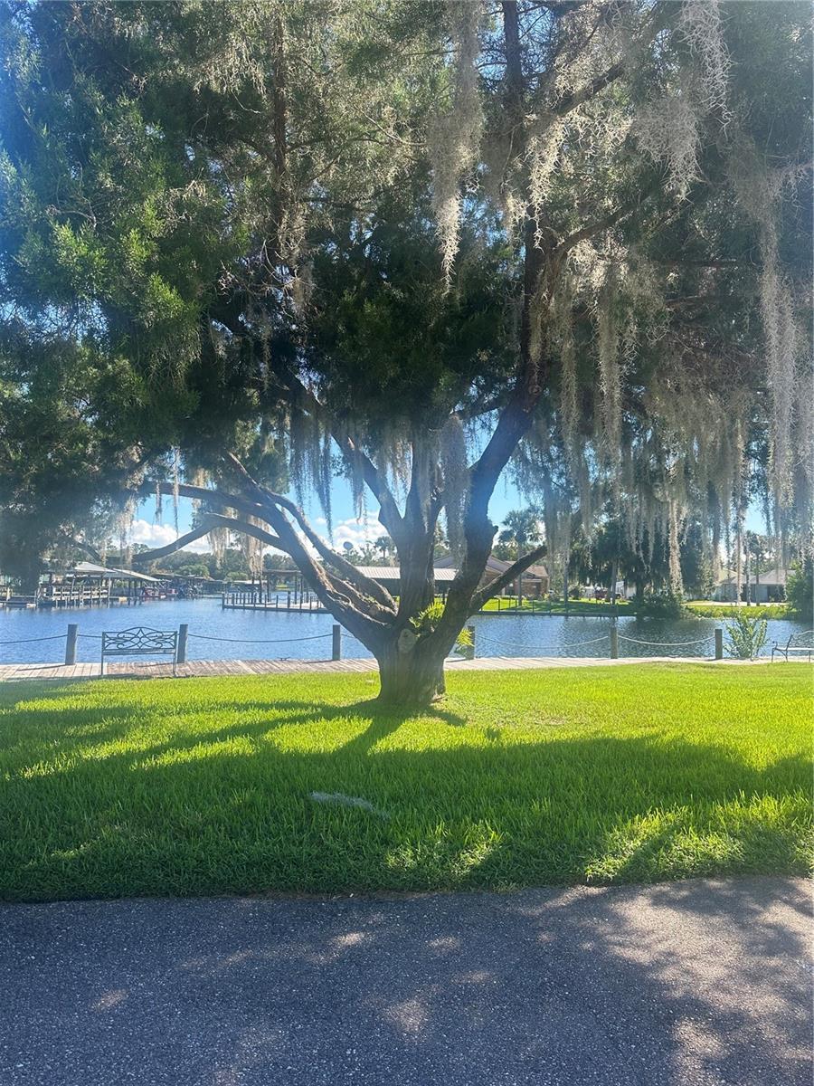 1640 JUNO TRL #102D, ASTOR, FL, 32102