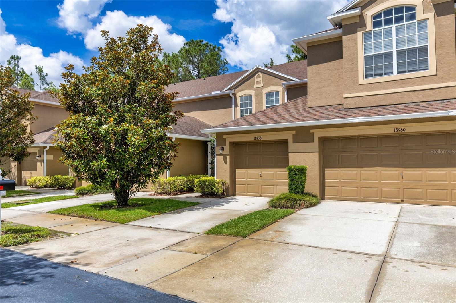 18958 DUQUESNE DR, TAMPA, FL, 33647