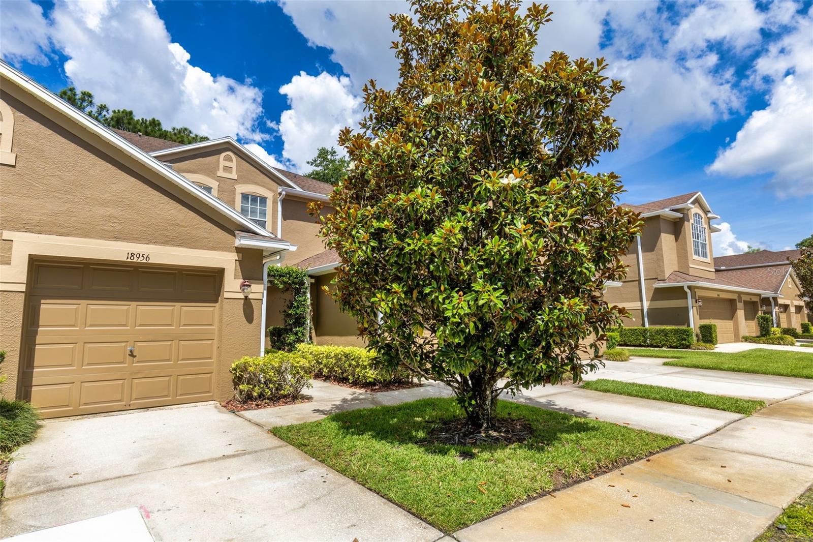 18958 DUQUESNE DR, TAMPA, FL, 33647