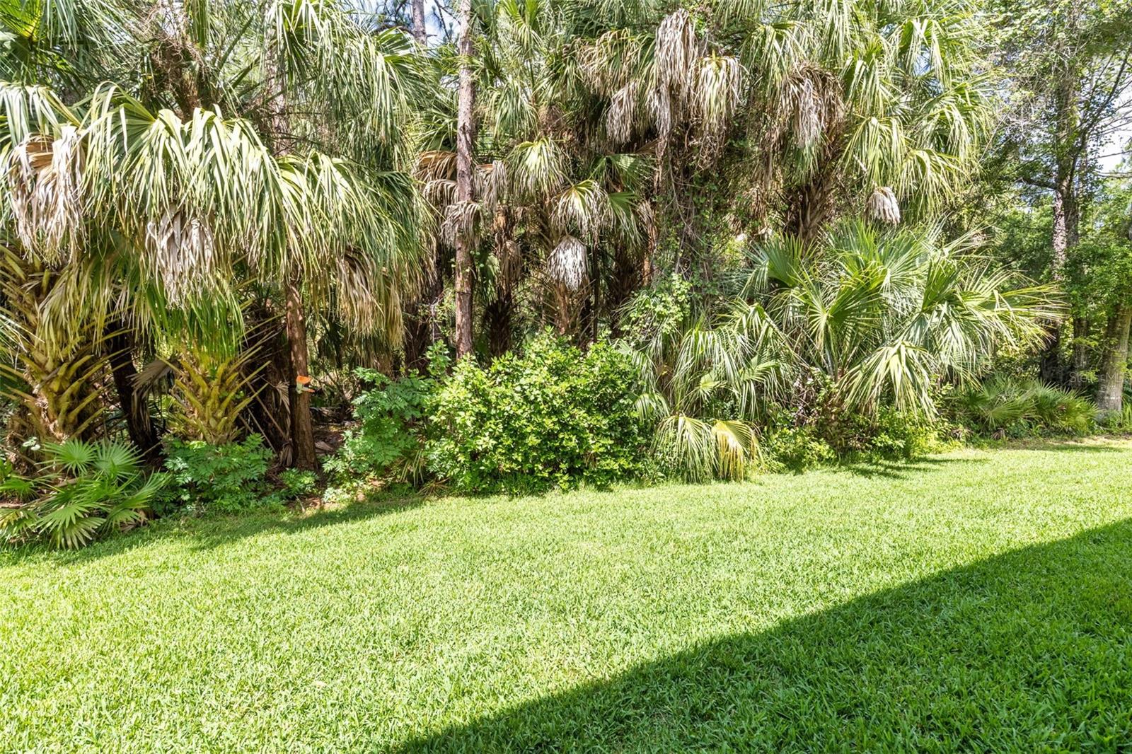 18958 DUQUESNE DR, TAMPA, FL, 33647