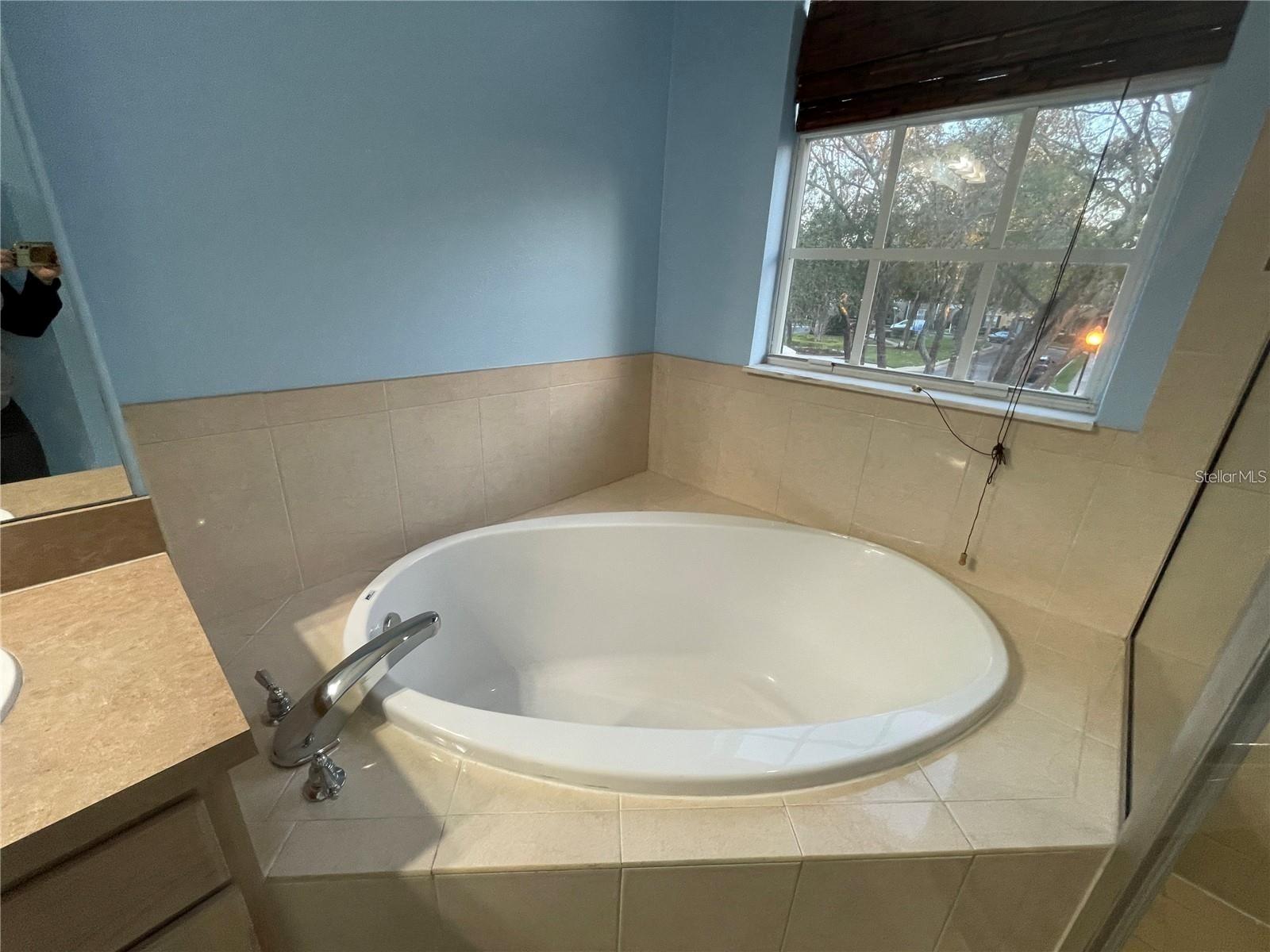 14017 CITRUS CREST CIR, TAMPA, FL, 33625