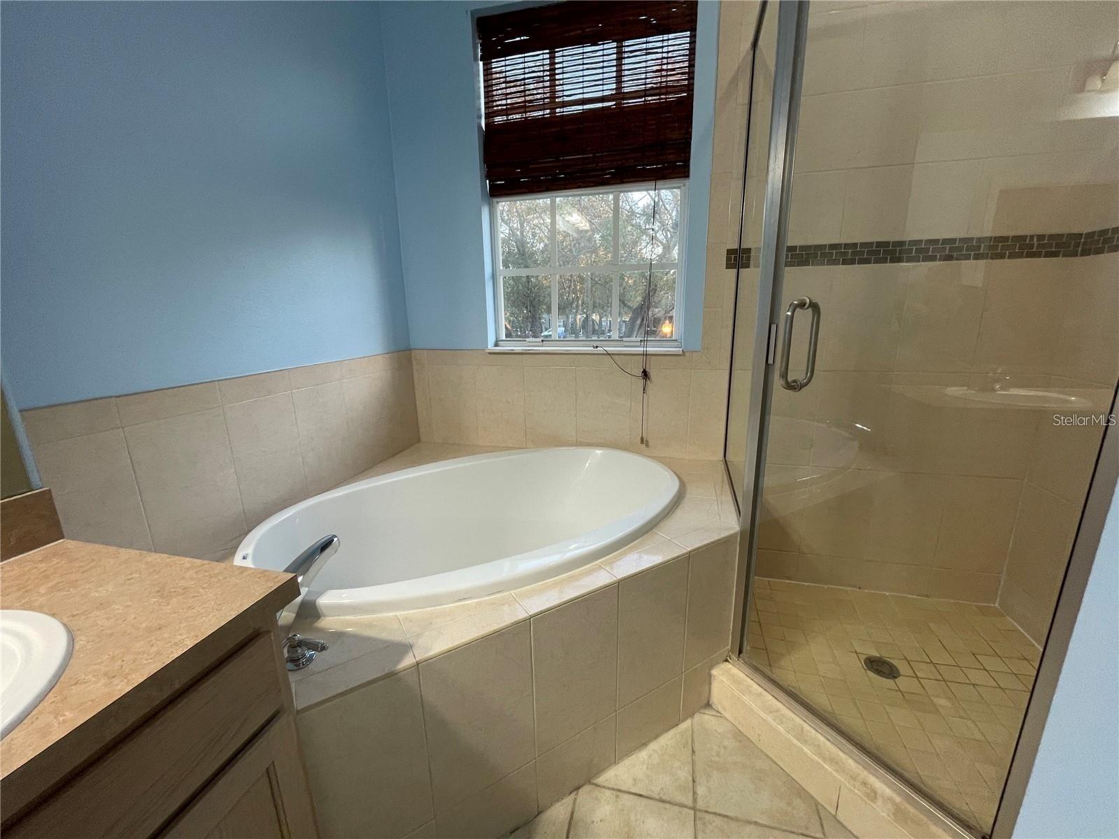 14017 CITRUS CREST CIR, TAMPA, FL, 33625