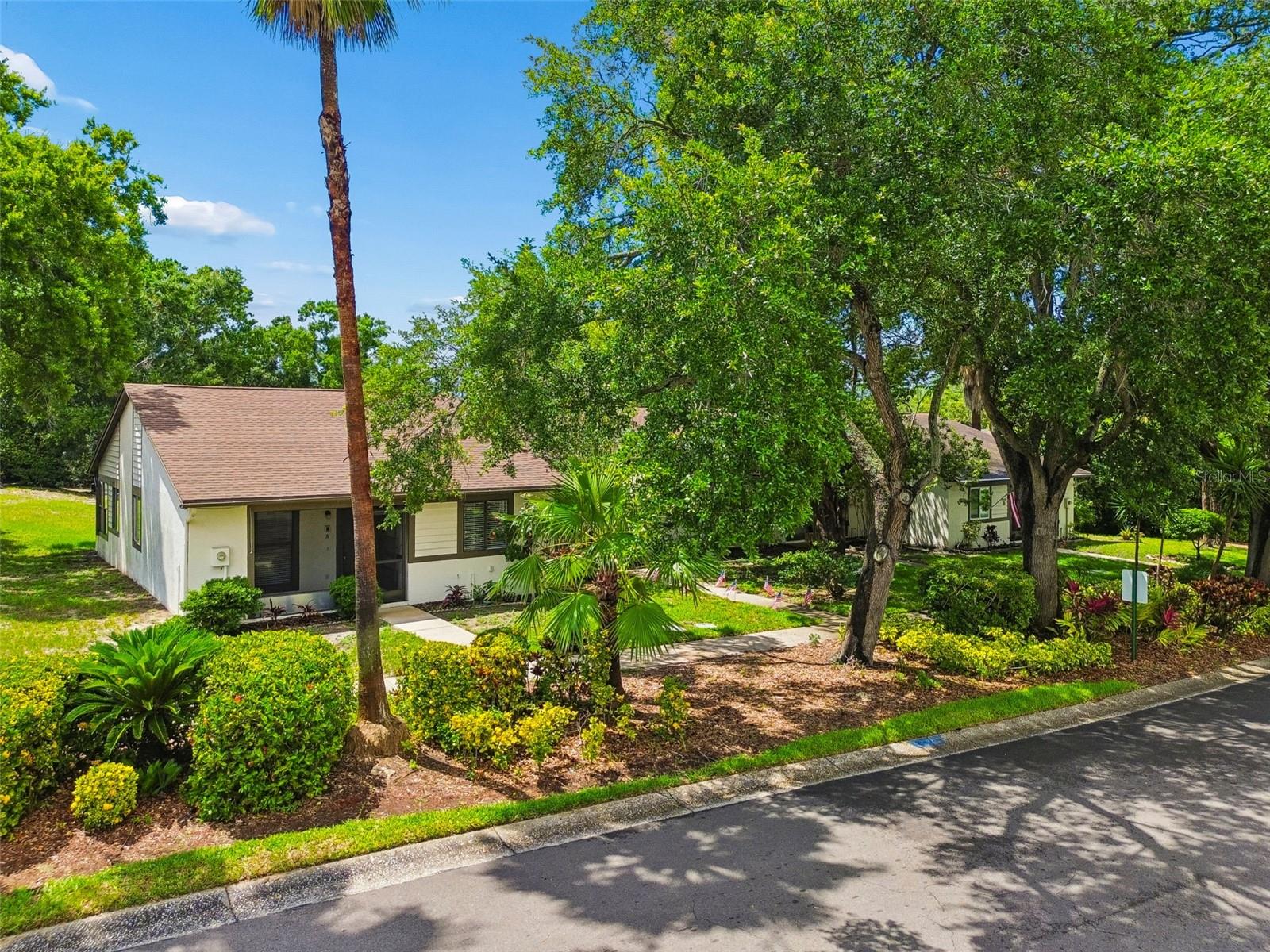 2945 GROVE WOOD BLVD #A, PALM HARBOR, FL, 34683