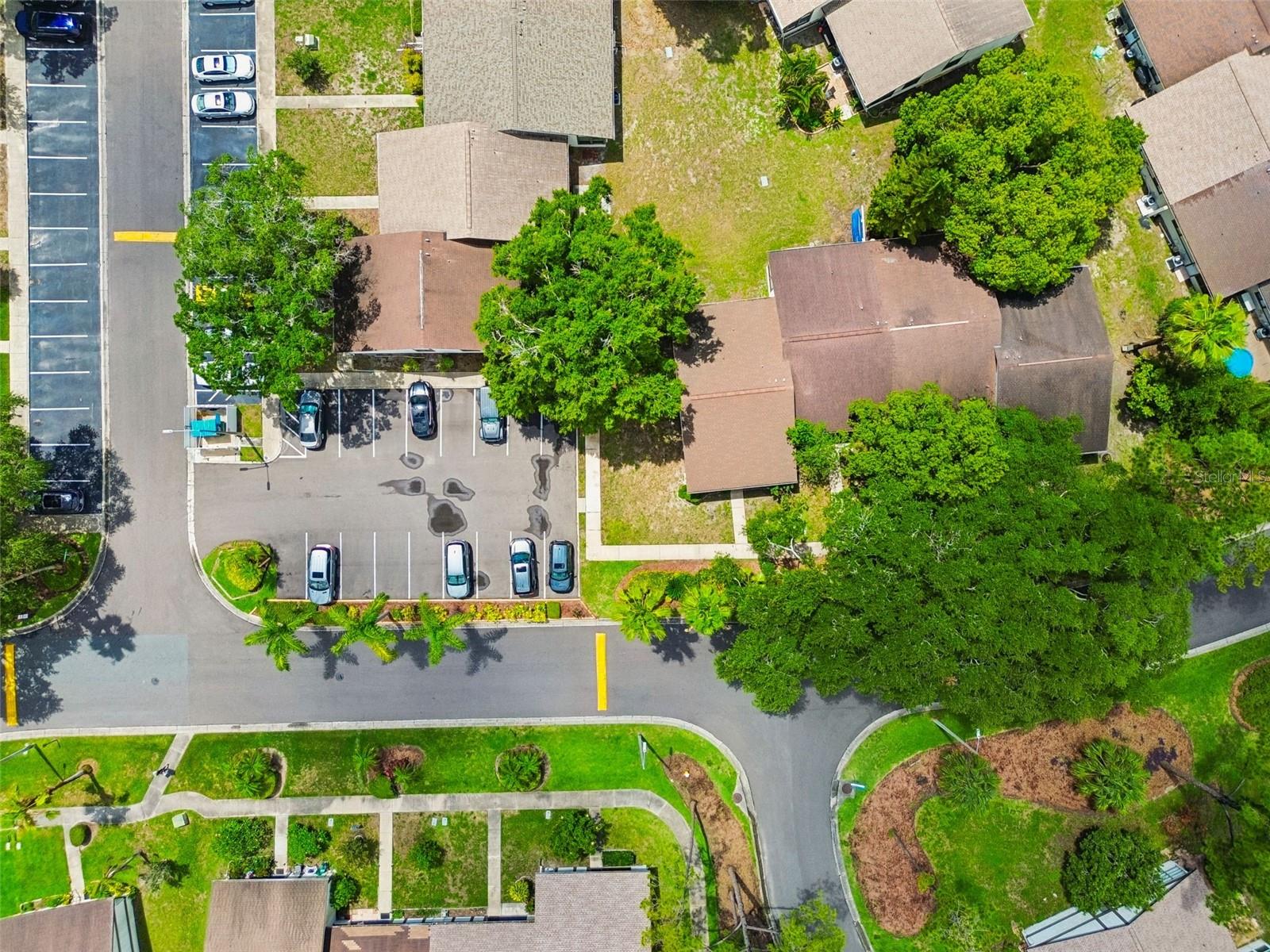 2945 GROVE WOOD BLVD #A, PALM HARBOR, FL, 34683