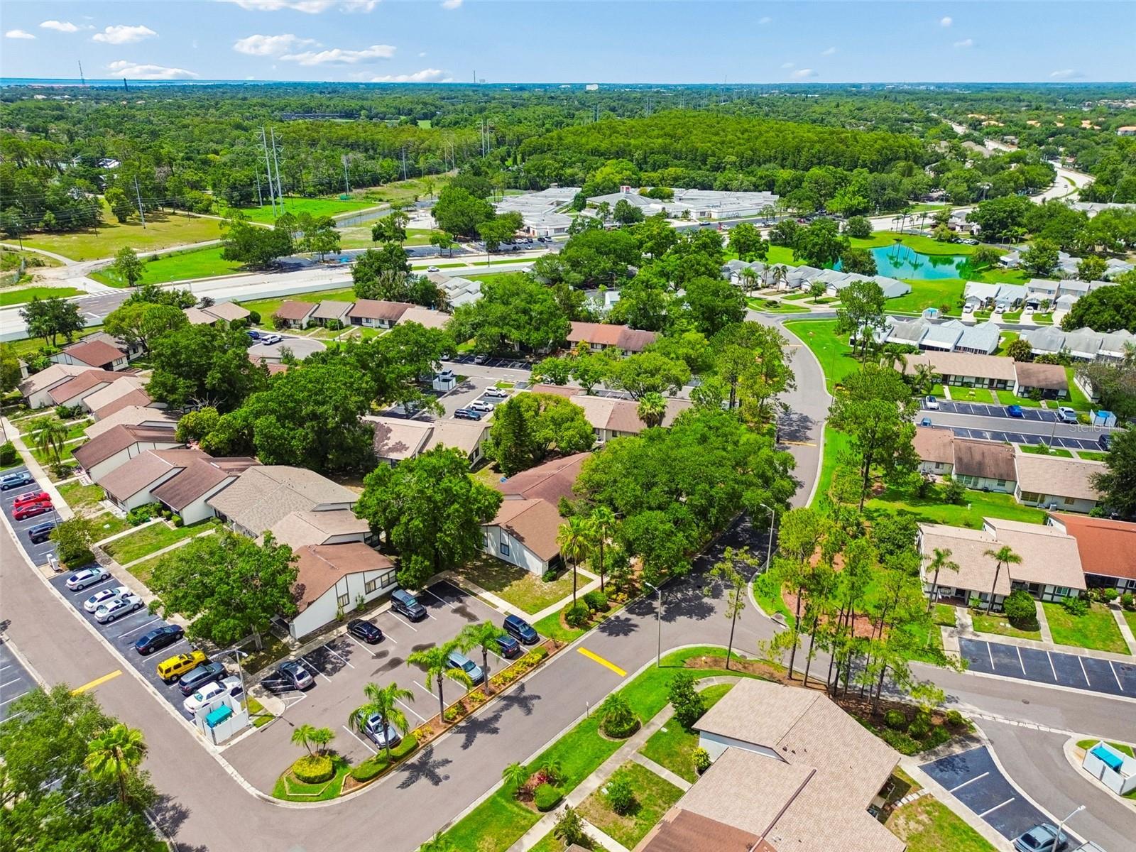 2945 GROVE WOOD BLVD #A, PALM HARBOR, FL, 34683