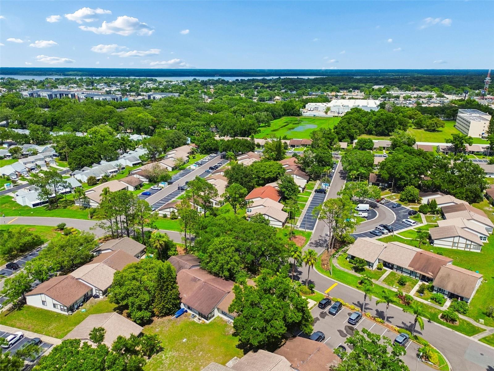 2945 GROVE WOOD BLVD #A, PALM HARBOR, FL, 34683