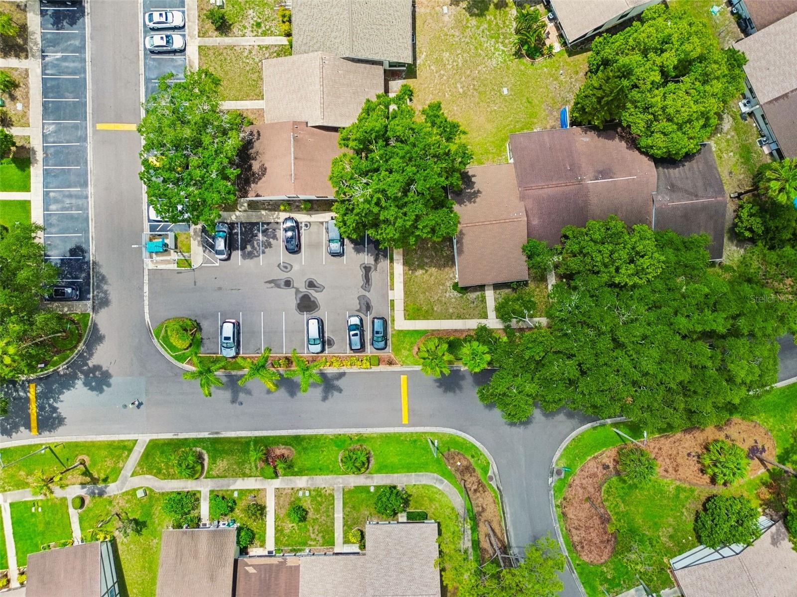 2945 GROVE WOOD BLVD #A, PALM HARBOR, FL, 34683