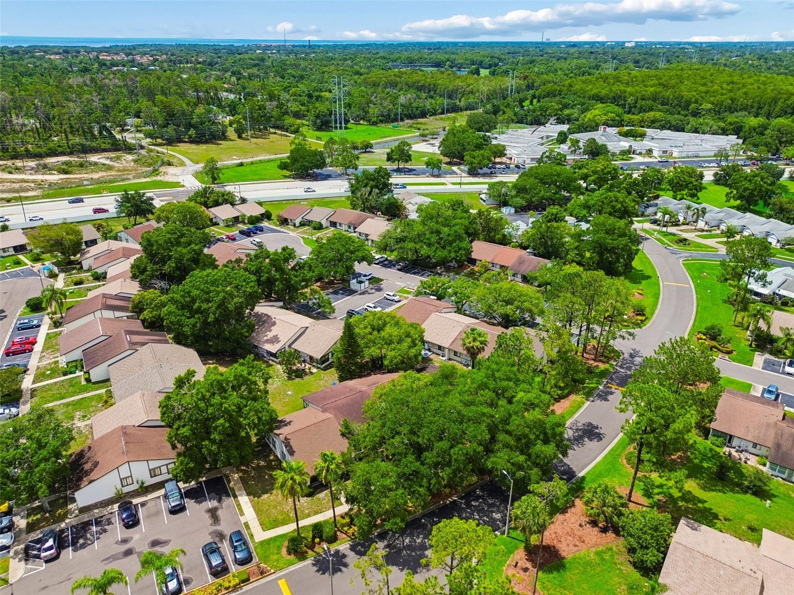2945 GROVE WOOD BLVD #A, PALM HARBOR, FL, 34683