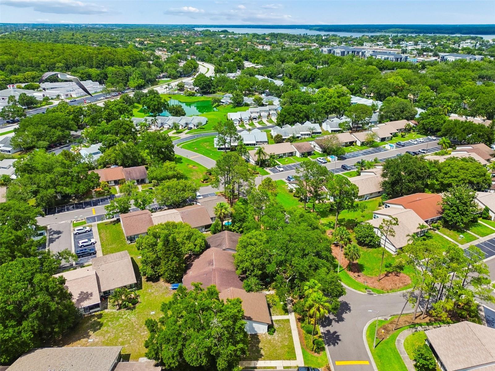 2945 GROVE WOOD BLVD #A, PALM HARBOR, FL, 34683