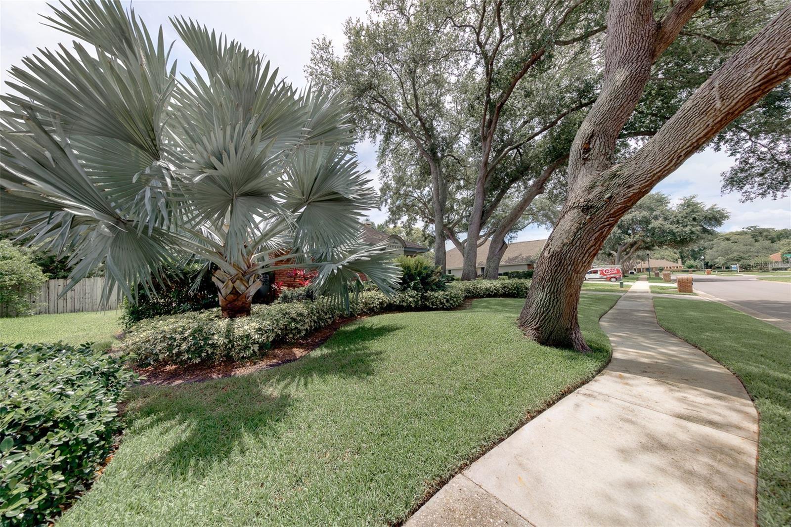 276 SHEFFIELD CIR W, PALM HARBOR, FL, 34683