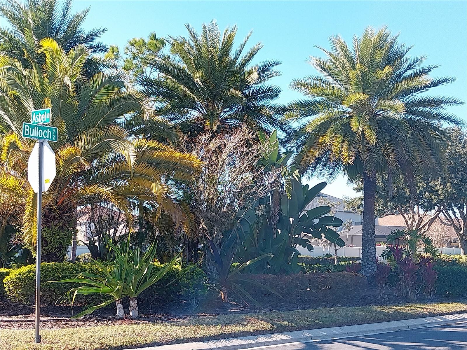 10116 PERTHSHIRE CIR, LAND O LAKES, FL, 34638