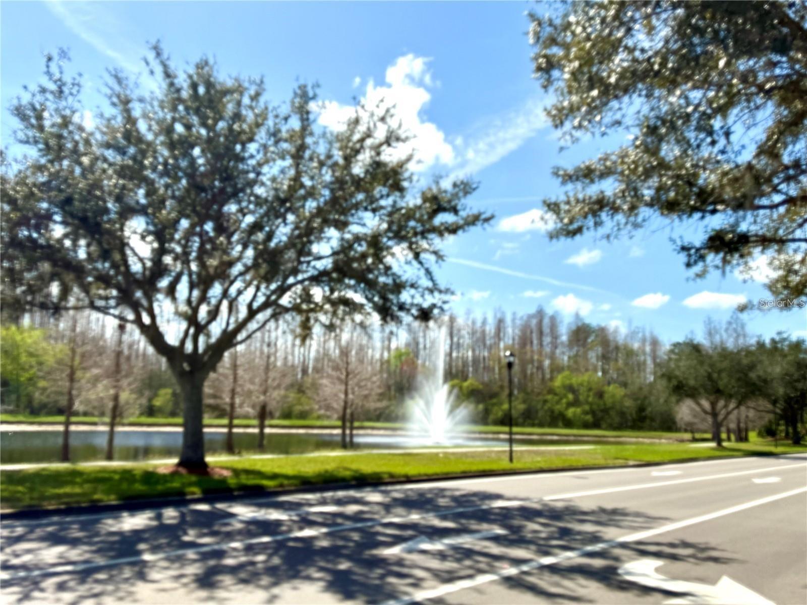 20110 NOB OAK AVE, TAMPA, FL, 33647