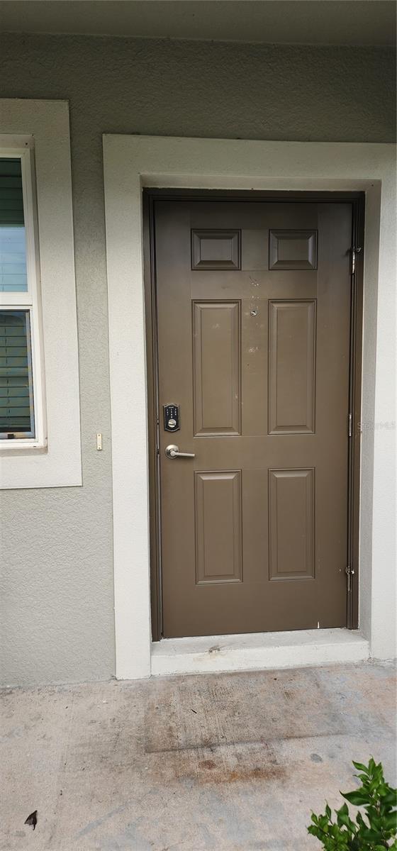 35077 ACKLEY TRCE, ZEPHYRHILLS, FL, 33541
