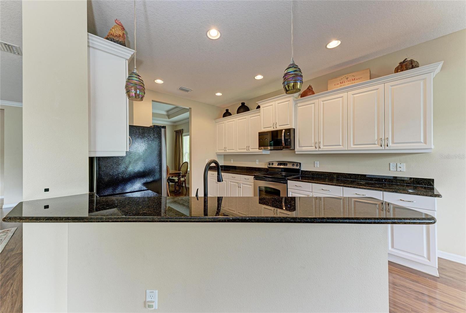 11763 FENNEMORE WAY, PARRISH, FL, 34219