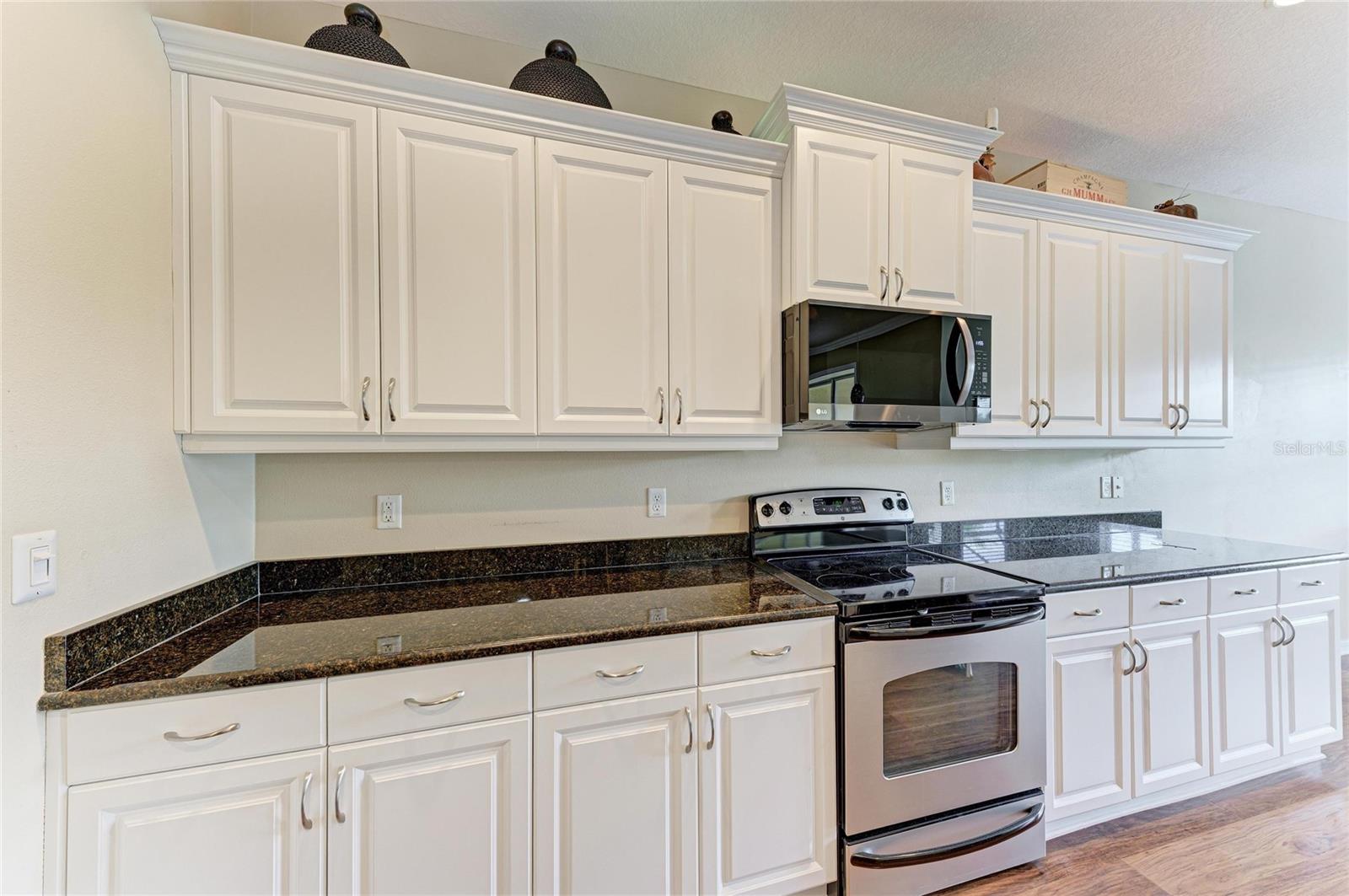 11763 FENNEMORE WAY, PARRISH, FL, 34219