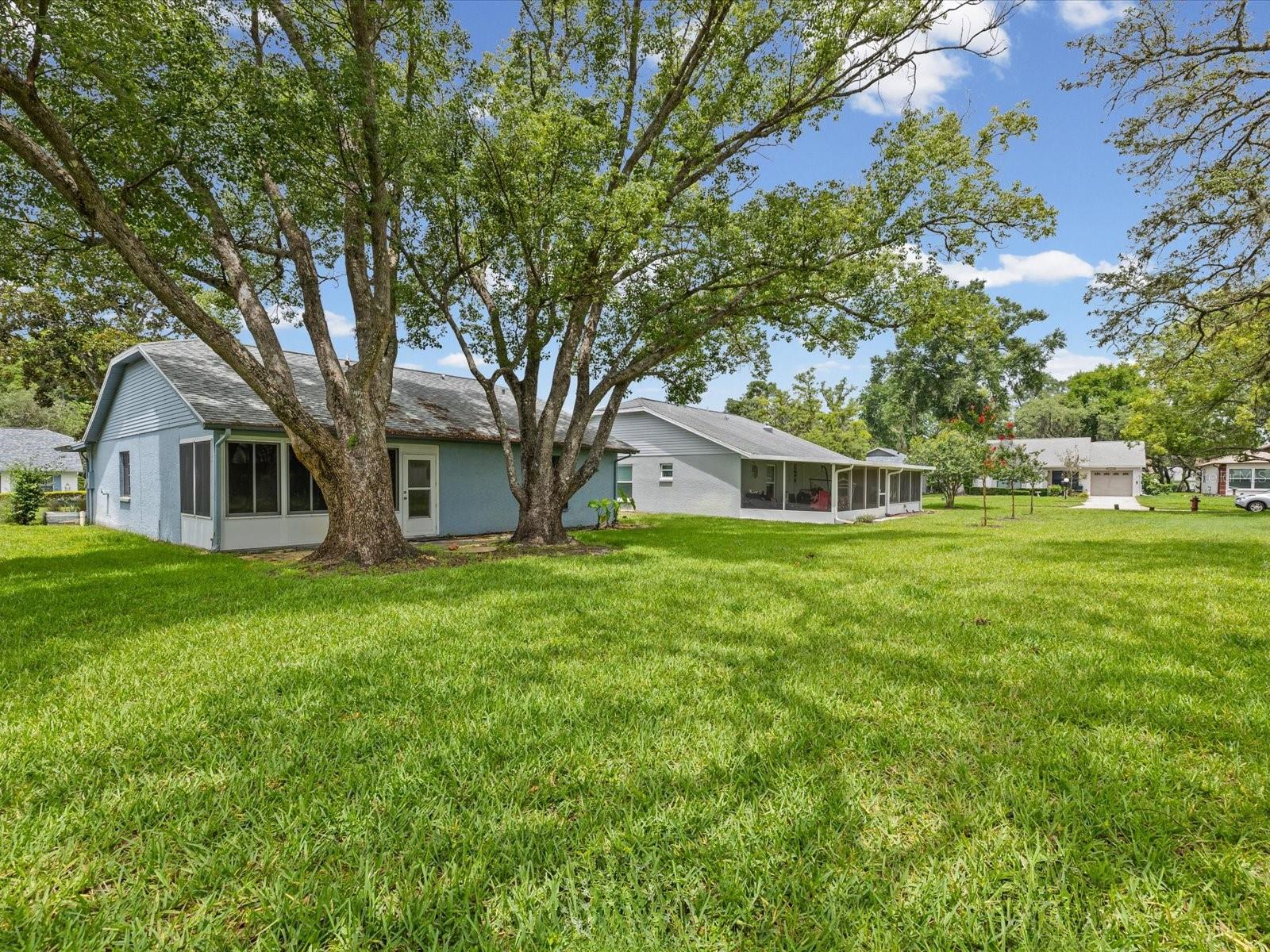 11614 ROSE TREE DR, NEW PORT RICHEY, FL, 34654