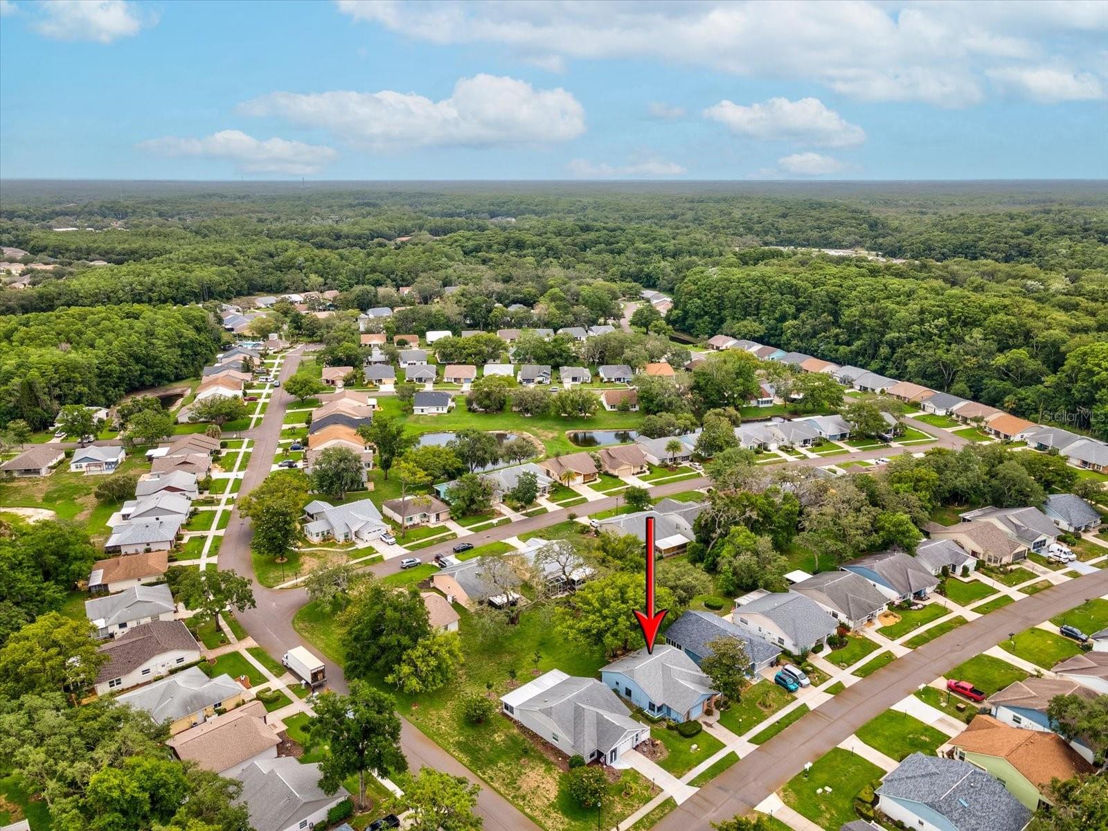 11614 ROSE TREE DR, NEW PORT RICHEY, FL, 34654