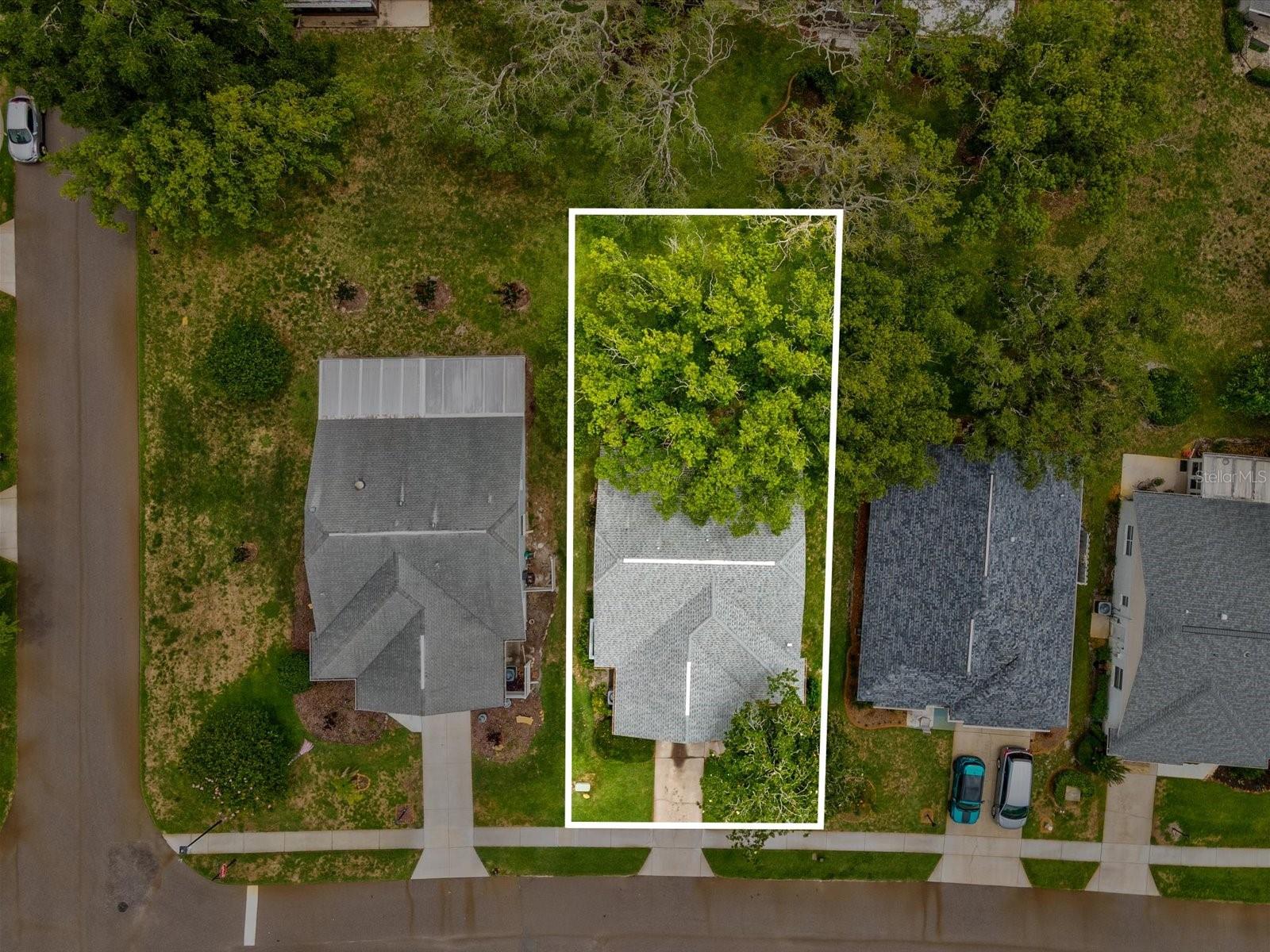 11614 ROSE TREE DR, NEW PORT RICHEY, FL, 34654
