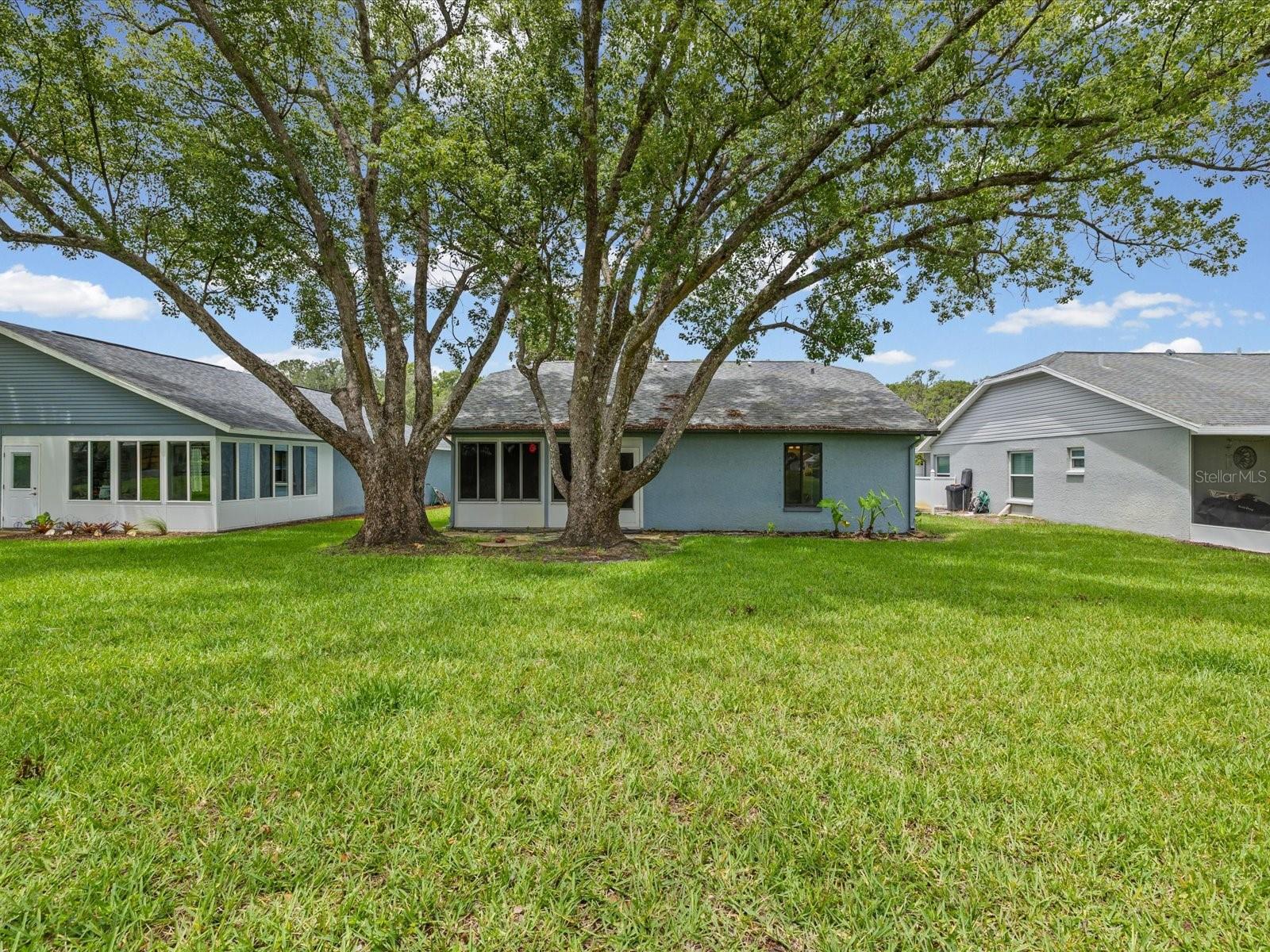 11614 ROSE TREE DR, NEW PORT RICHEY, FL, 34654