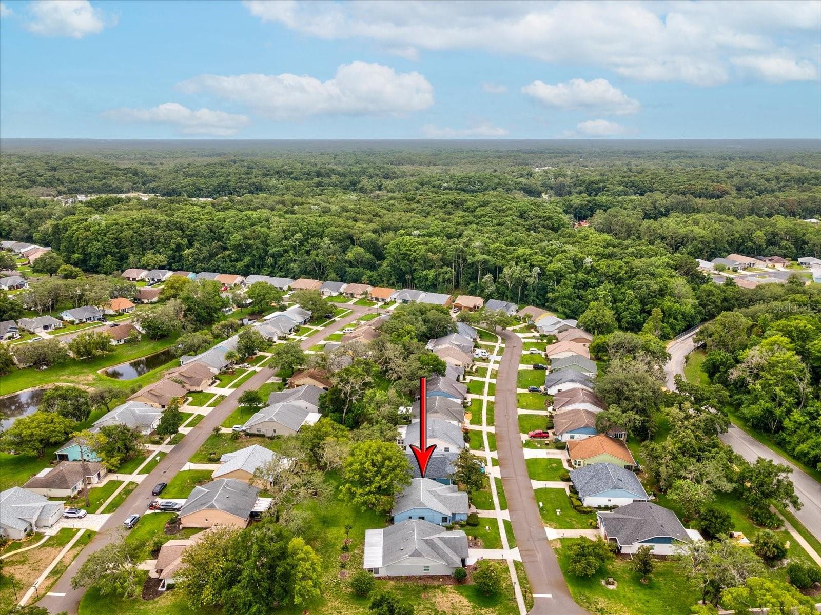 11614 ROSE TREE DR, NEW PORT RICHEY, FL, 34654