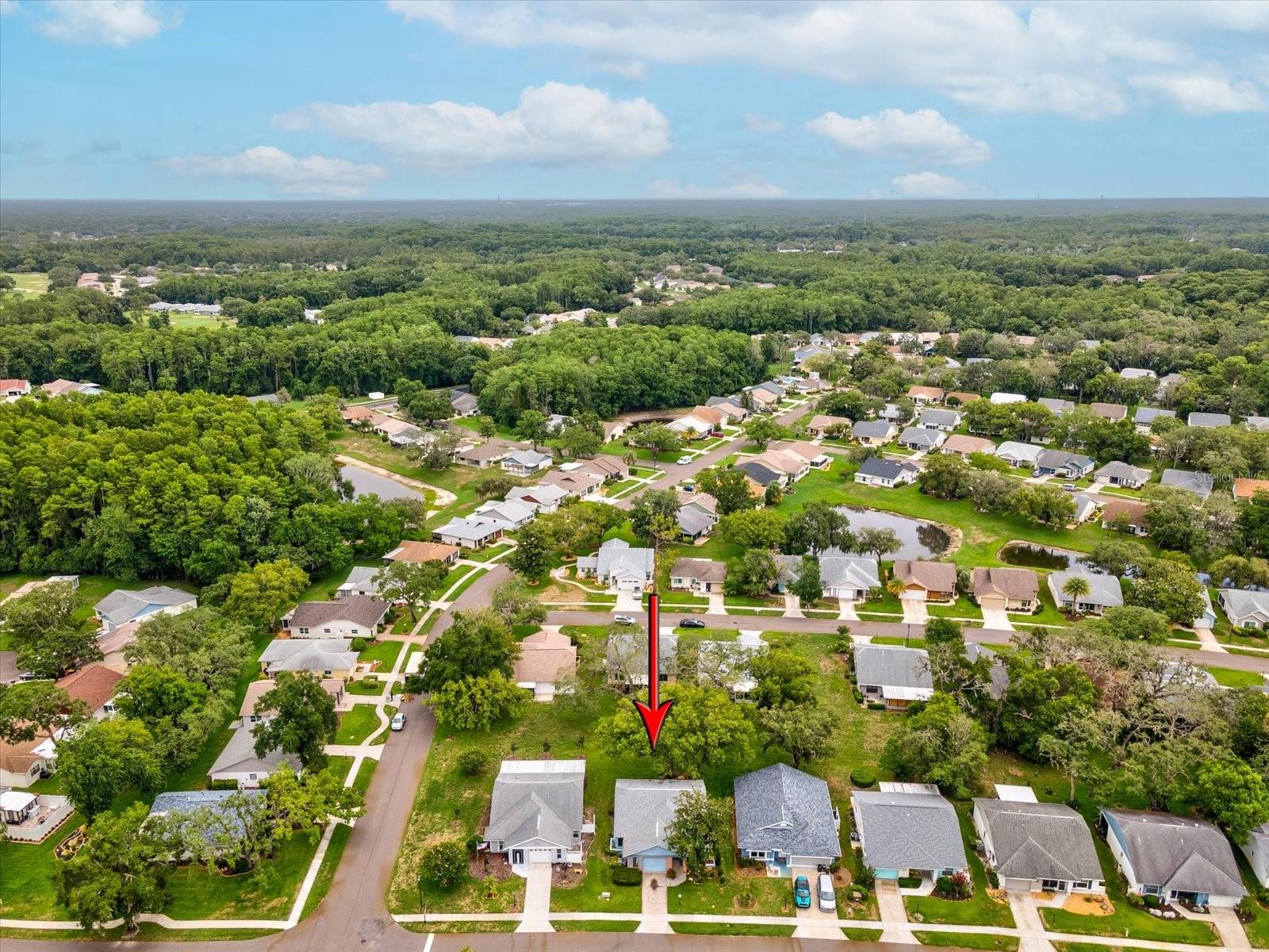 11614 ROSE TREE DR, NEW PORT RICHEY, FL, 34654