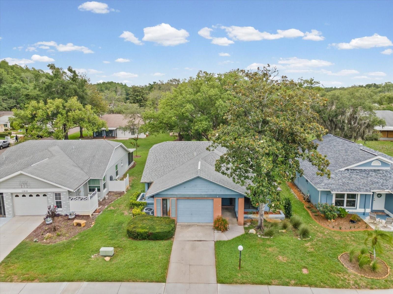 11614 ROSE TREE DR, NEW PORT RICHEY, FL, 34654