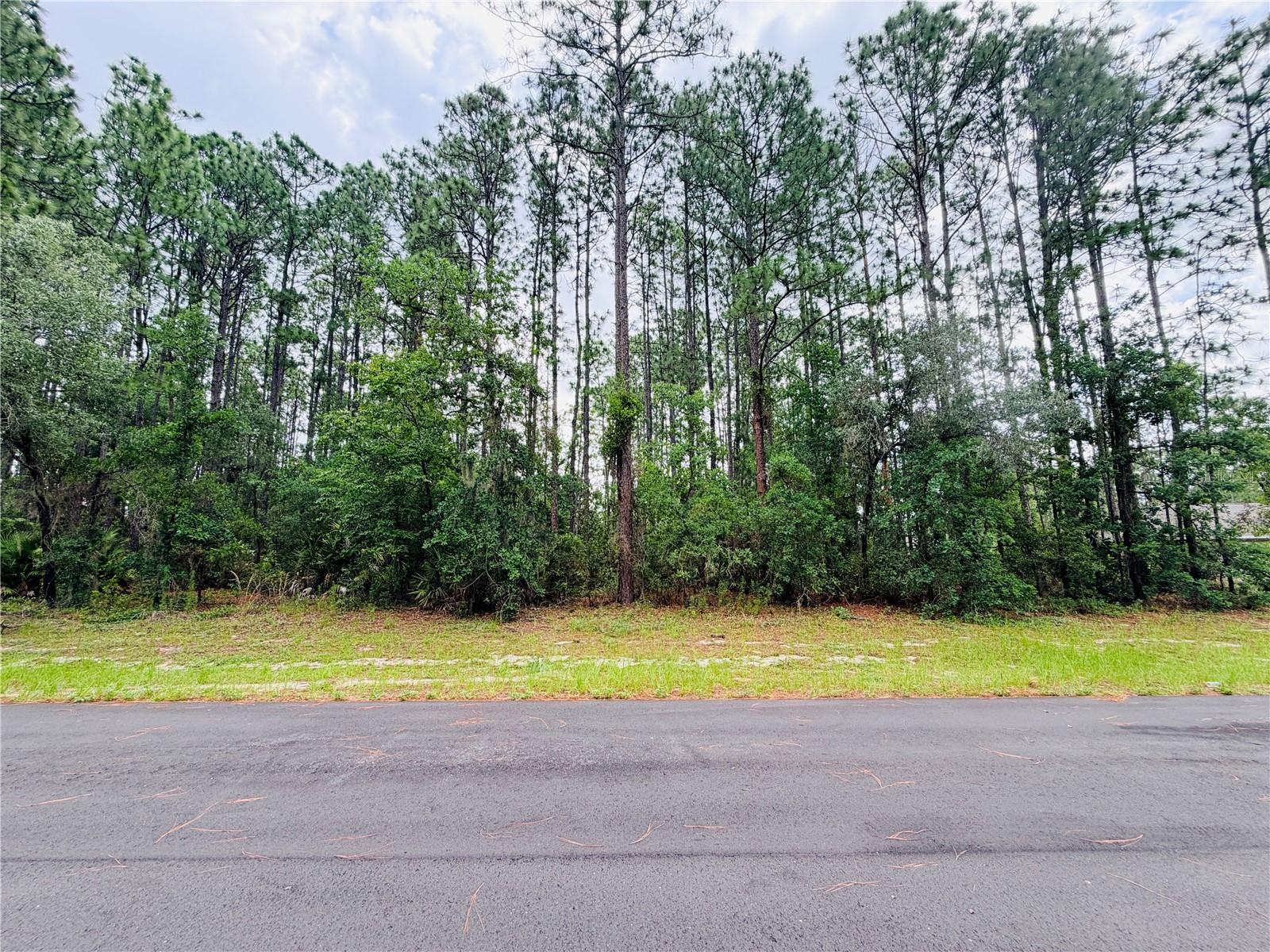 13873 SW 80TH CT, OCALA, FL, 34473
