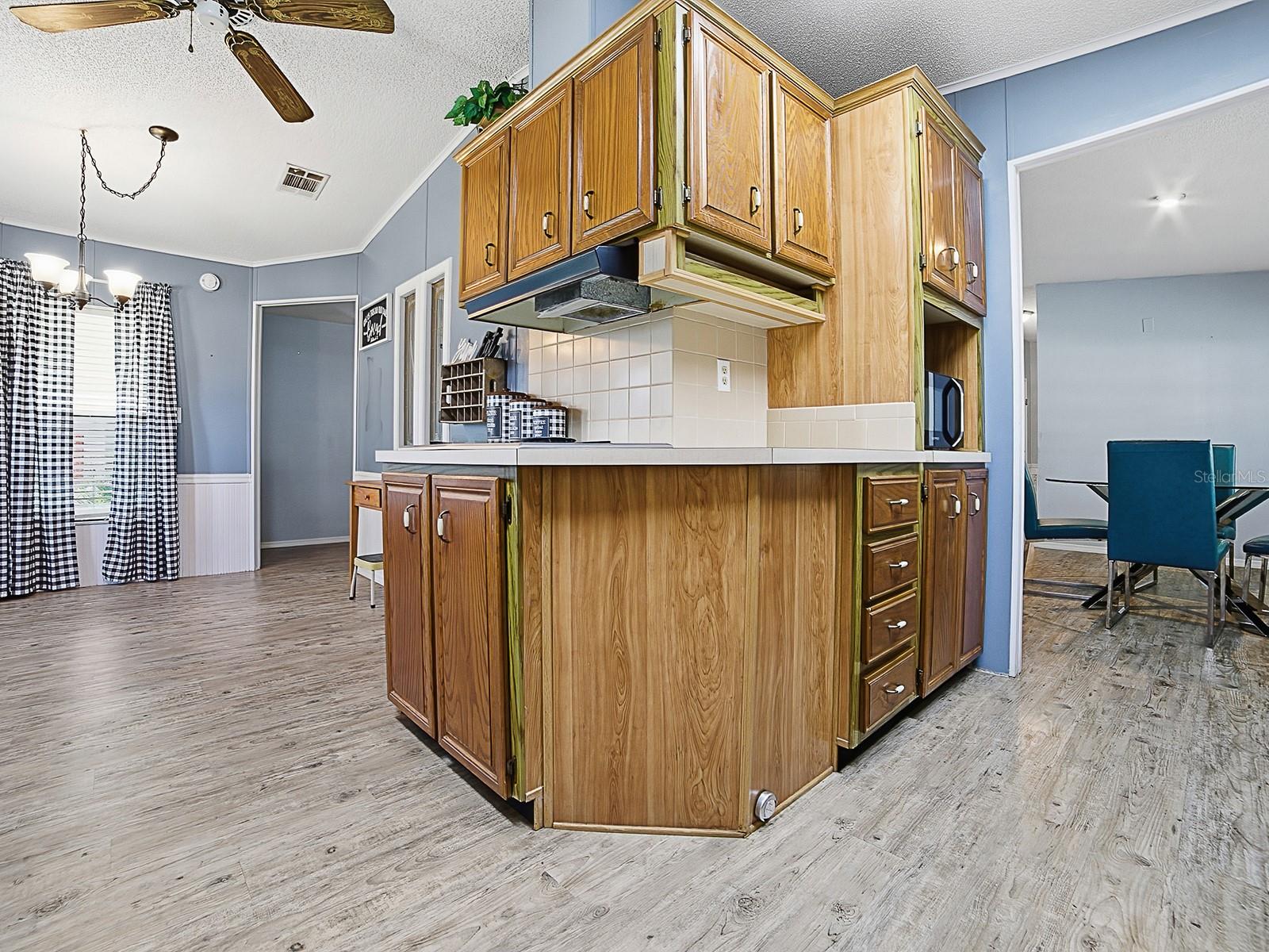 25035 BELLEVUE, LEESBURG, FL, 34748