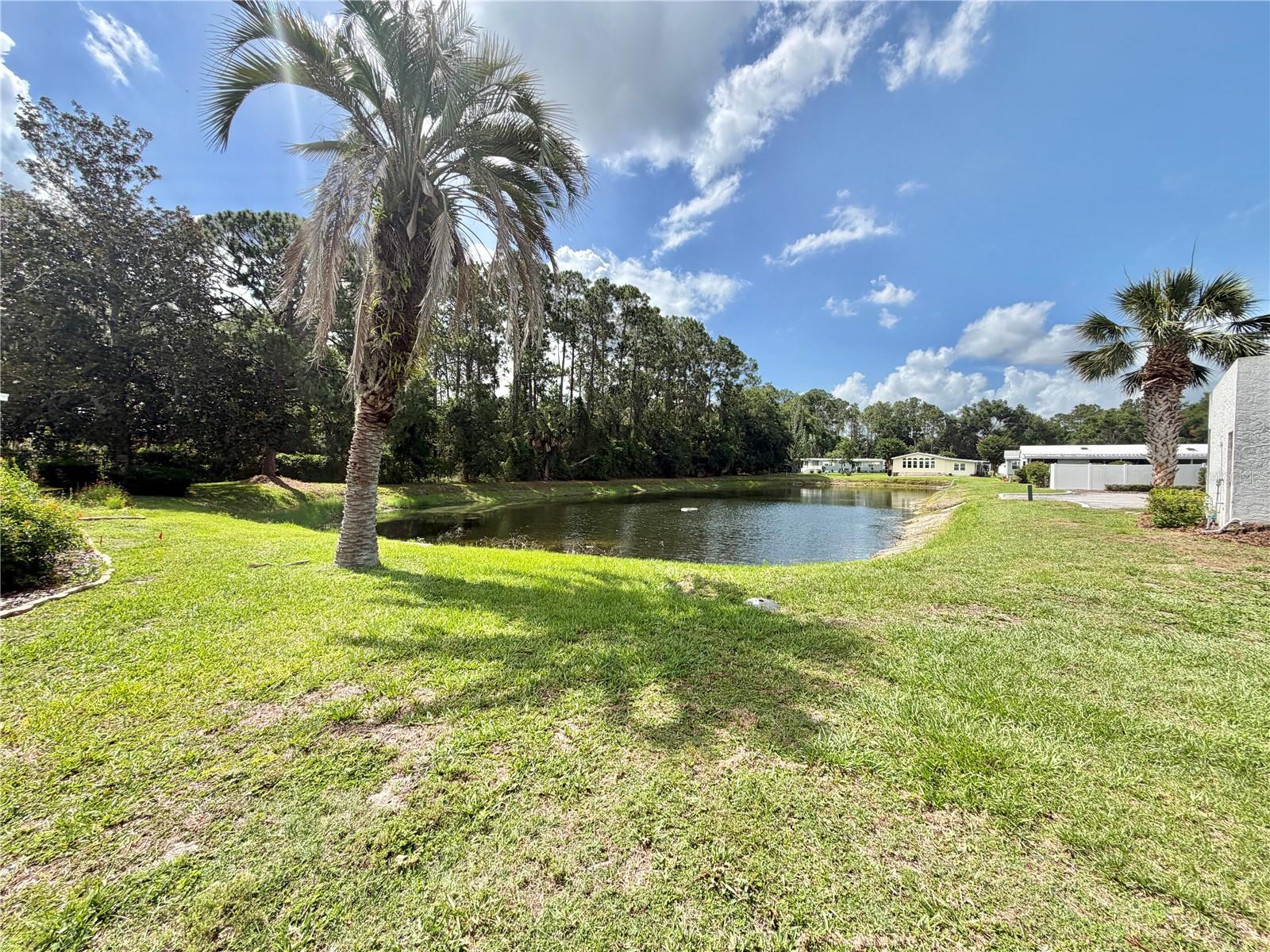 101 TAMARISK WAY, LEESBURG, FL, 34748