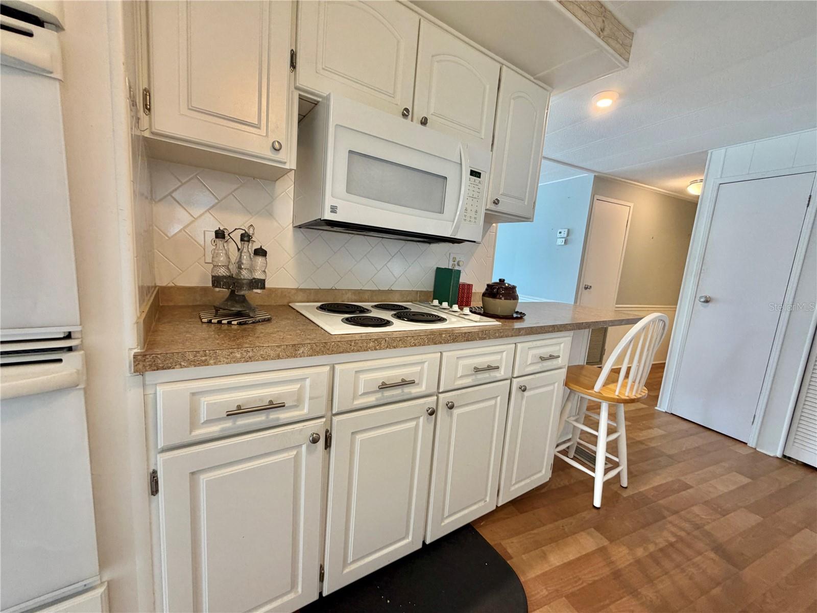 101 TAMARISK WAY, LEESBURG, FL, 34748