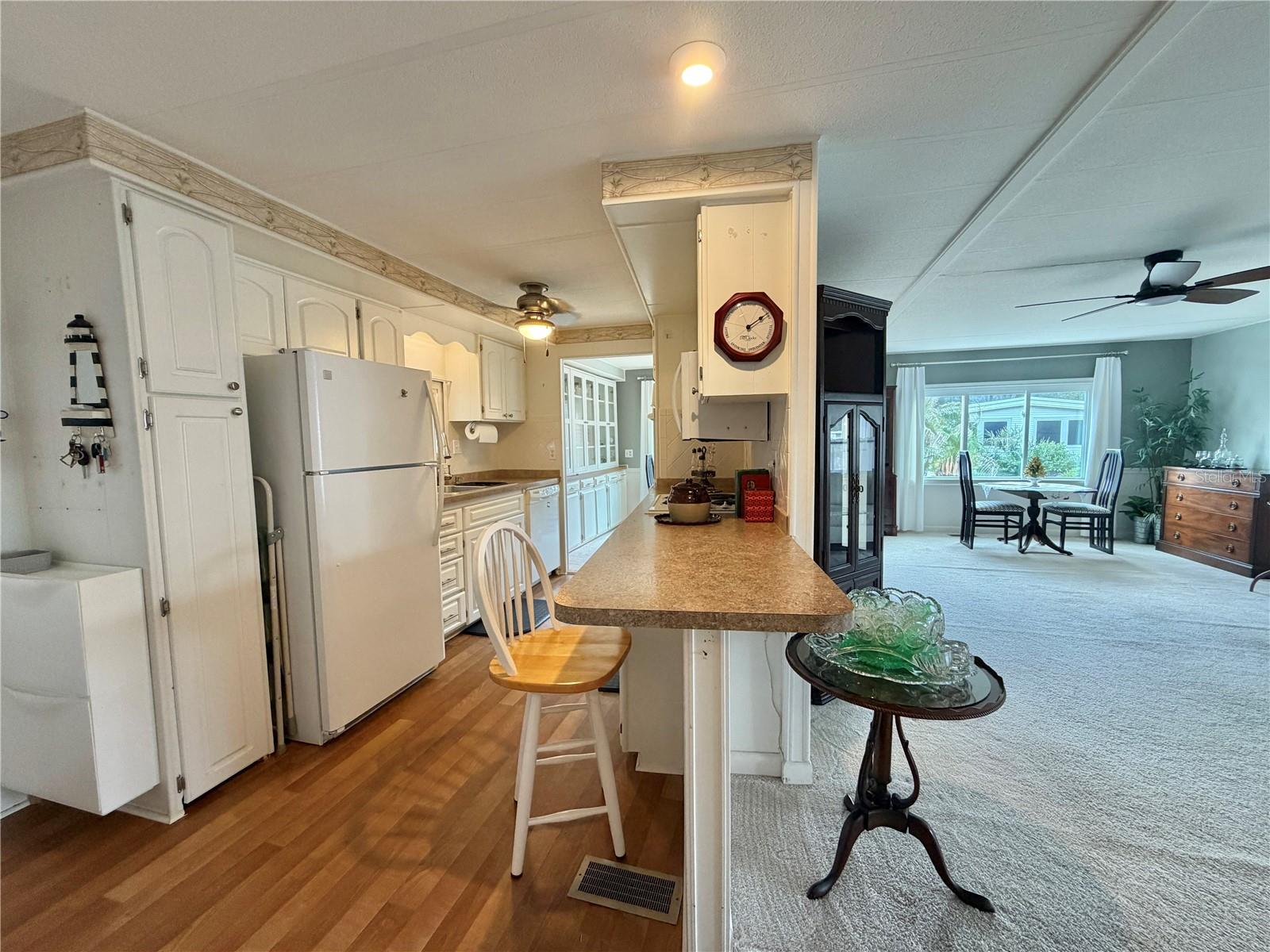 101 TAMARISK WAY, LEESBURG, FL, 34748